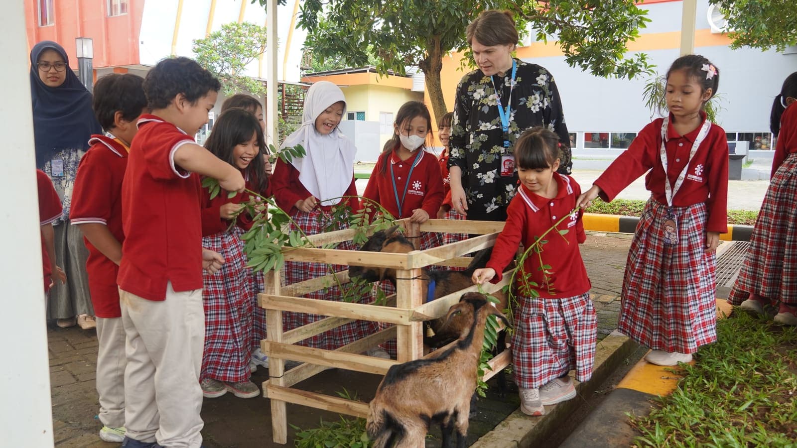 Elementary students feeding baby goats in the schoolyard